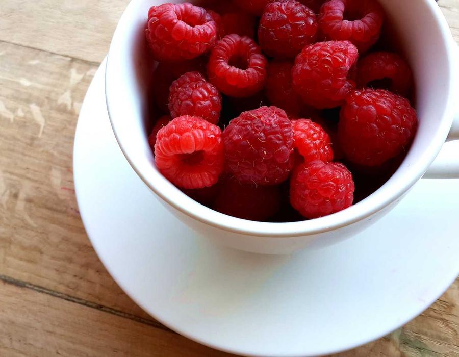 Powder jar detail highlighting Risevora morning blend texture